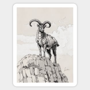 Ibex on rock Sticker